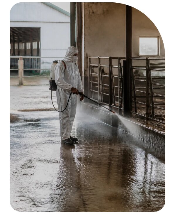 Профессиональная дезинфекция фермы в Кузнецке по цене от 15636 р. | Сенат-Кнц